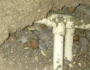 振安卫生间测漏